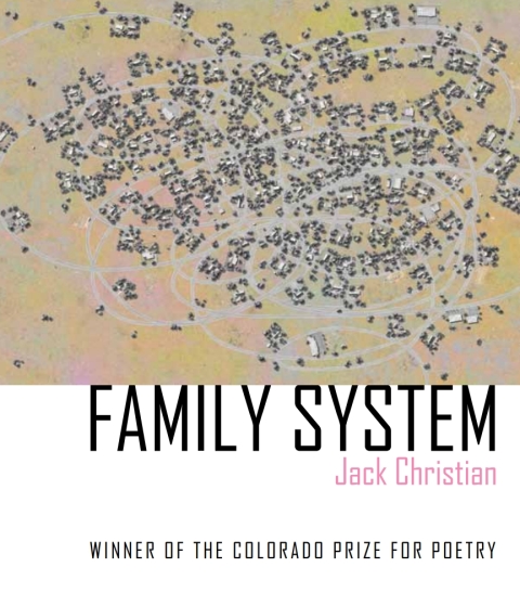 Cover image for book Family System