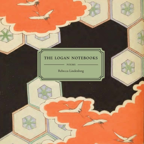 Cover image for book The Logan Notebooks