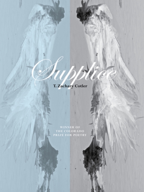 Cover image for book Supplice