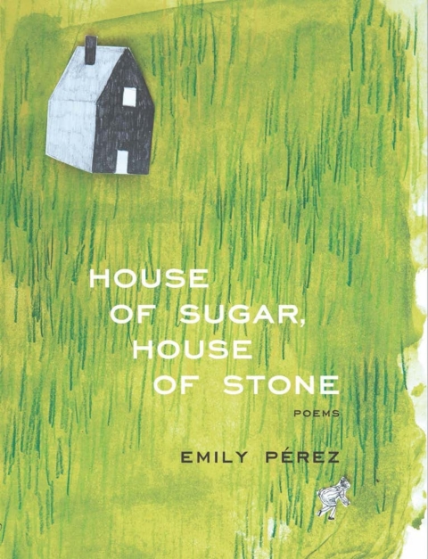 Cover image for book House of Sugar, House of Stone