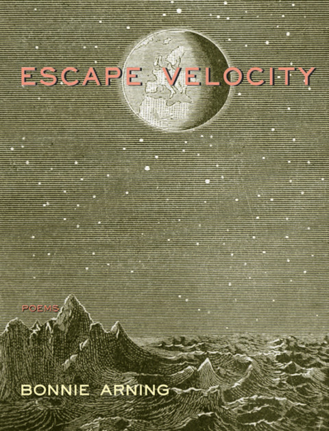 Cover image for book Escape Velocity