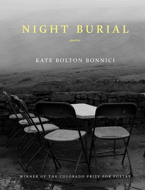 Cover image for book Night Burial