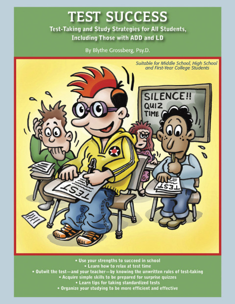 Cover image for book Test Success