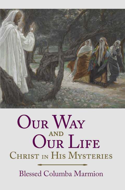 Cover image for book Our Way and Our Life: