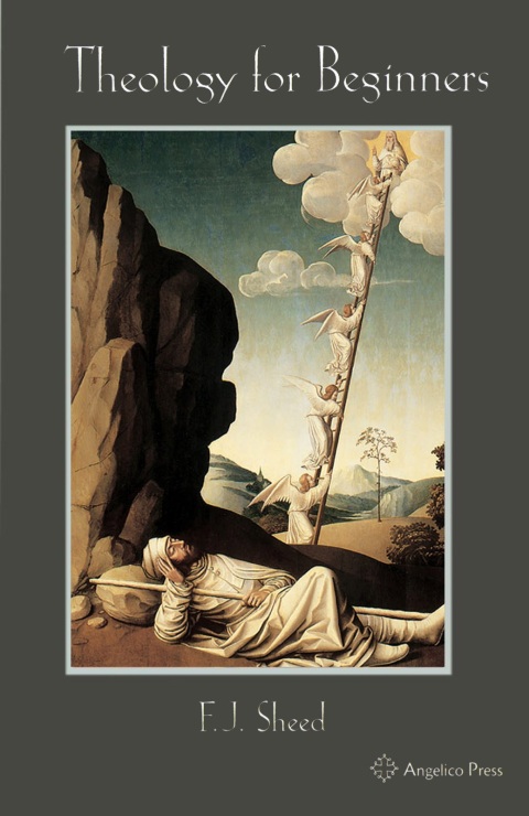 Cover image for book Theology for Beginners