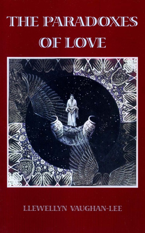 Cover image for book The Paradoxes of Love