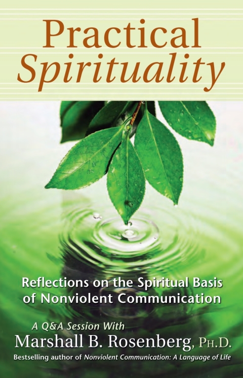 Cover image for book Practical Spirituality