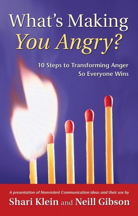 Cover image for book What's Making You Angry?