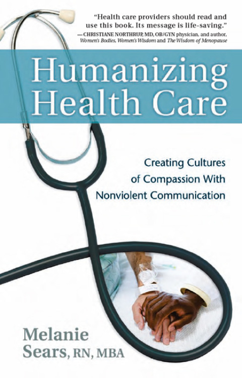 Cover image for book Humanizing Health Care