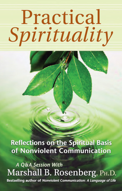 Cover image for book Practical Spirituality