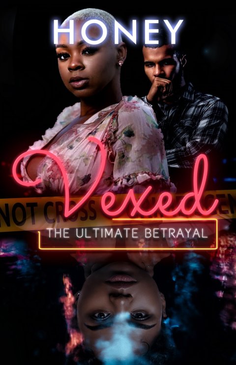 Cover image for book Vexed