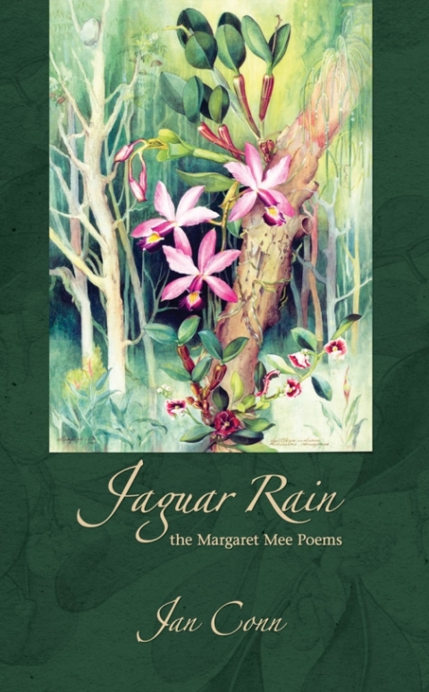 Cover image for book Jaguar Rain