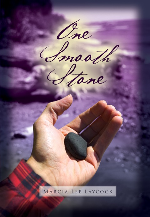 Cover image for book One Smooth Stone