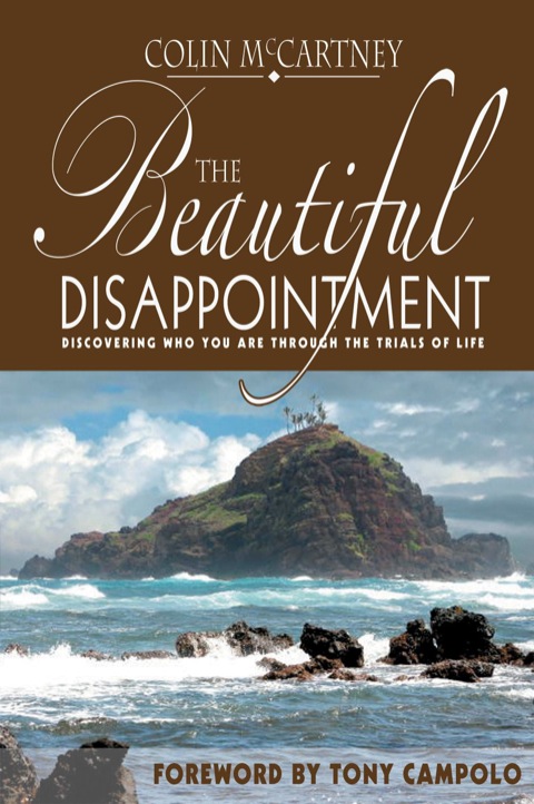 Cover image for book The Beautiful Disappointment
