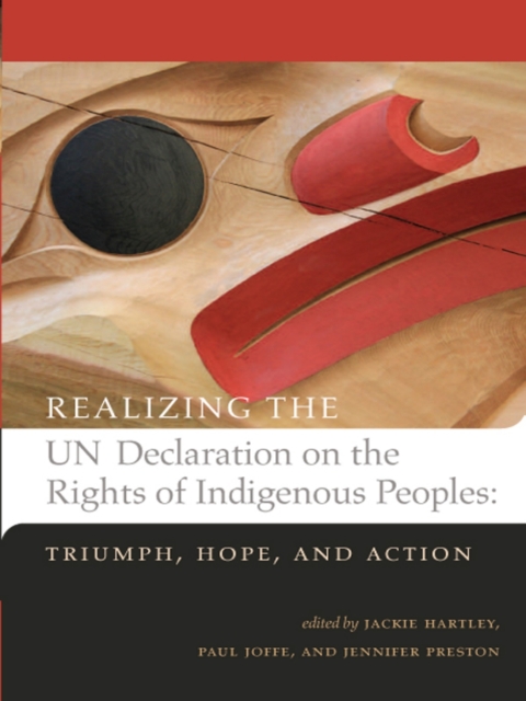 Cover image for book Realizing the UN Declaration on the Rights of Indigenous Peoples