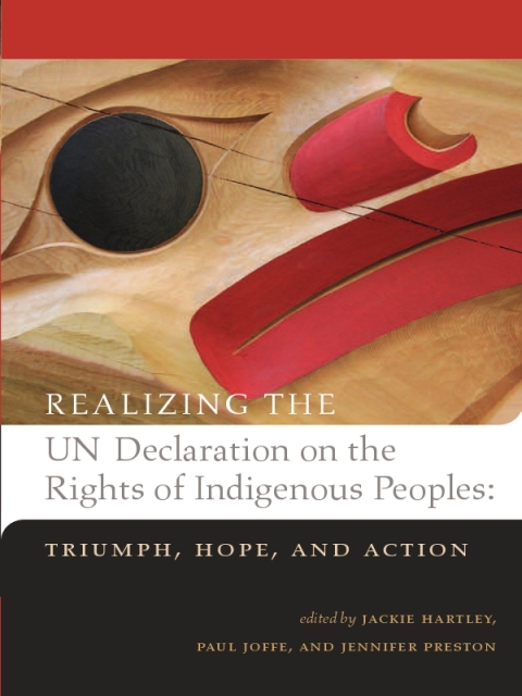 Cover image for book Realizing the UN Declaration on the Rights of Indigenous Peoples