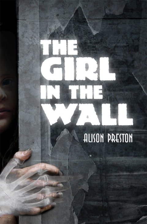 Cover image for book The Girl in the Wall