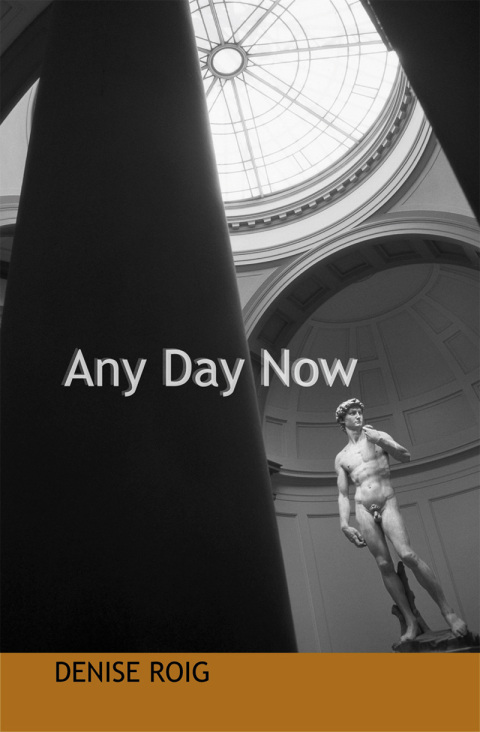 Cover image for book Any Day Now