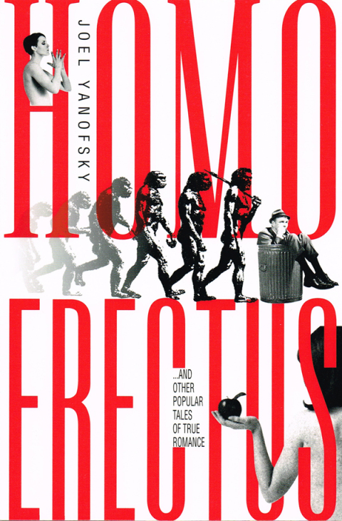 Cover image for book Homo Erectus