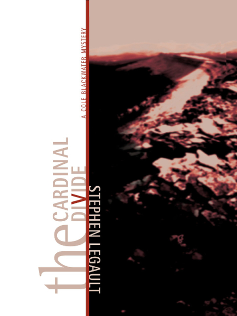 Cover image for book The Cardinal Divide