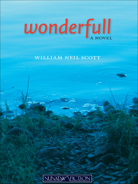 Cover image for book Wonderfull