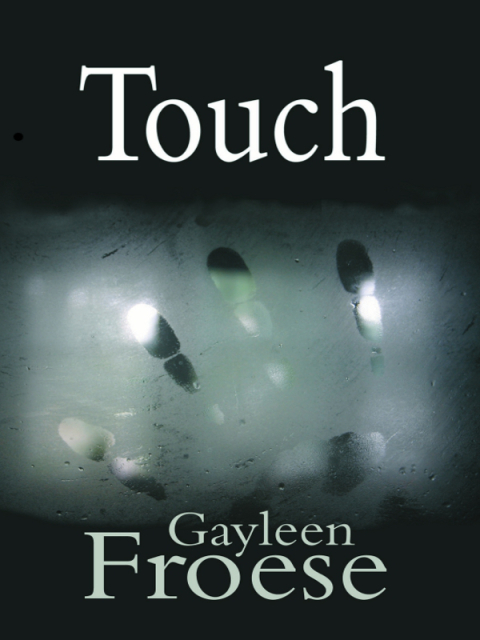 Cover image for book Touch