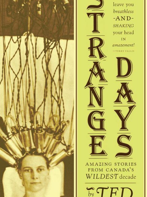Cover image for book Strange Days