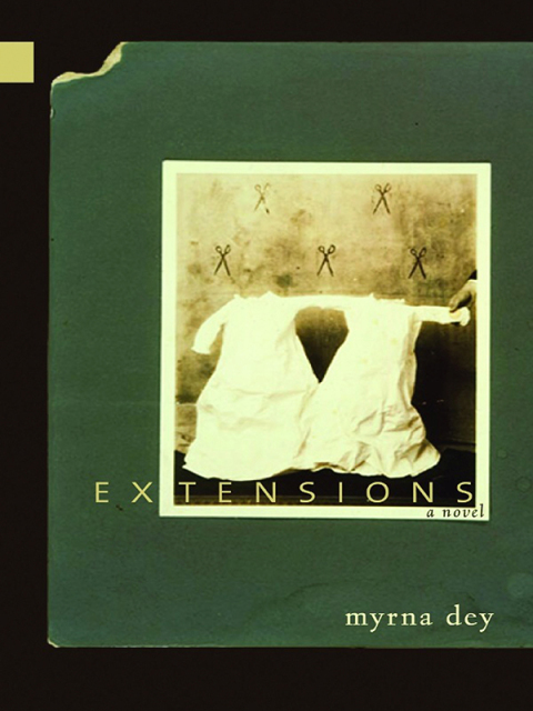 Cover image for book Extensions