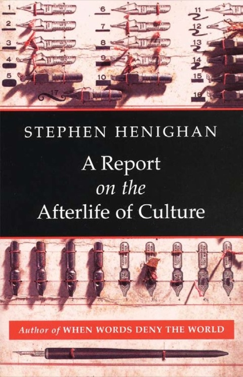 Cover image for book A Report on the Afterlife of Culture