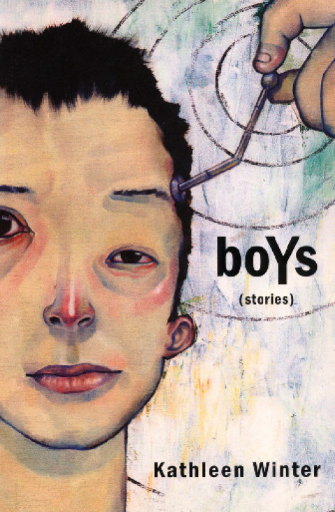 Cover image for book boYs