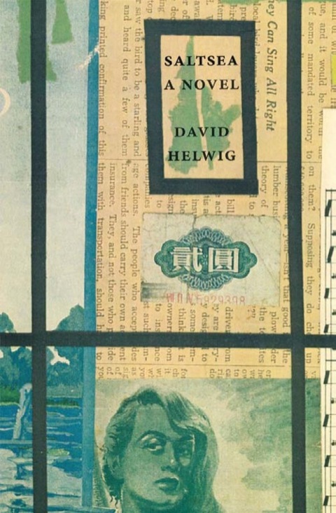 Cover image for book Saltsea