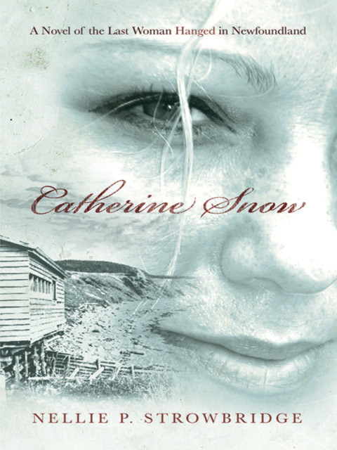 Cover image for book Catherine Snow