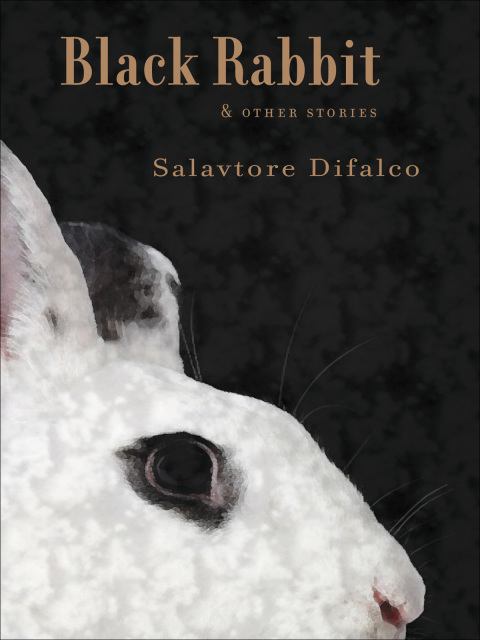 Cover image for book Black Rabbit and Other Stories