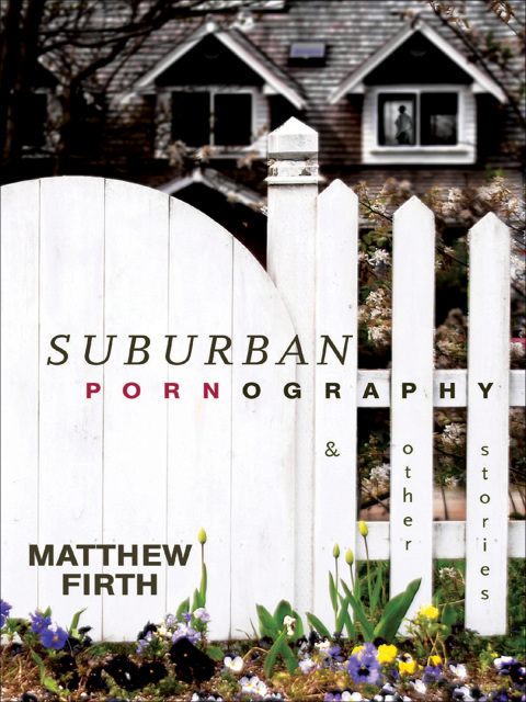 Cover image for book Suburban Pornography
