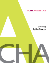 Cover image: Directing agile change 1st edition 9781903494608