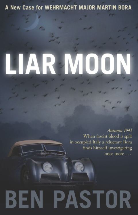 Cover image for book Liar Moon