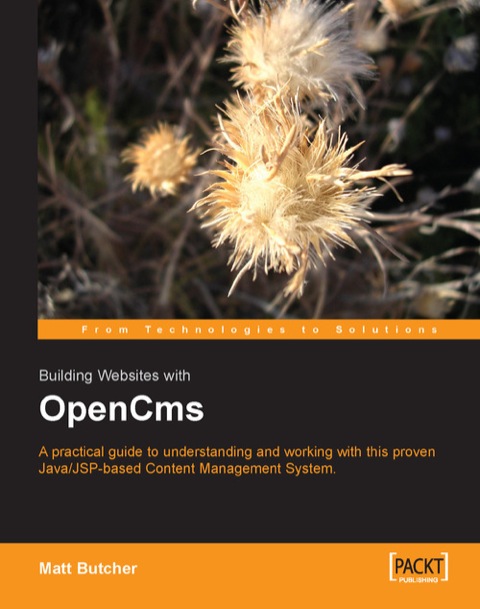 Cover image for book Building Websites with OpenCms