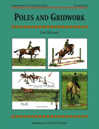 Cover image: POLES AND GRIDWORK 9781872082448