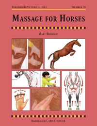 Cover image: MASSAGE FOR HORSES 9781872082875