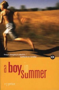 Cover image: A Boy in Summer 9781903238509