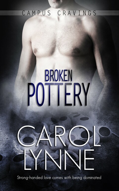 Cover image for book Broken Pottery