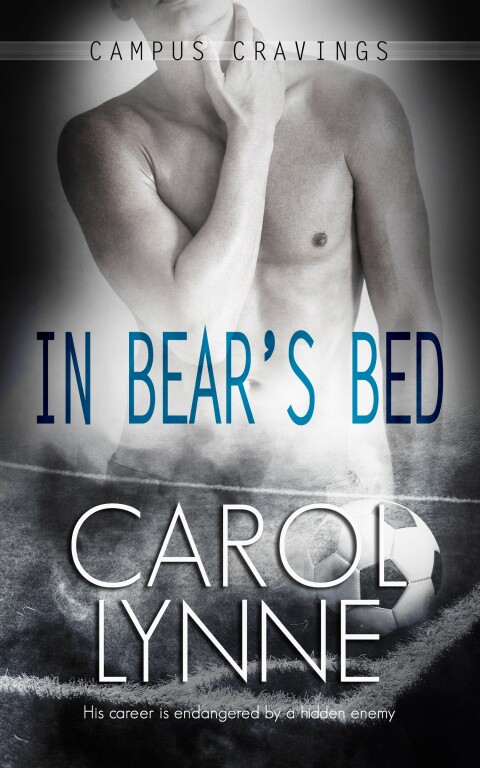 Cover image for book In Bear's Bed