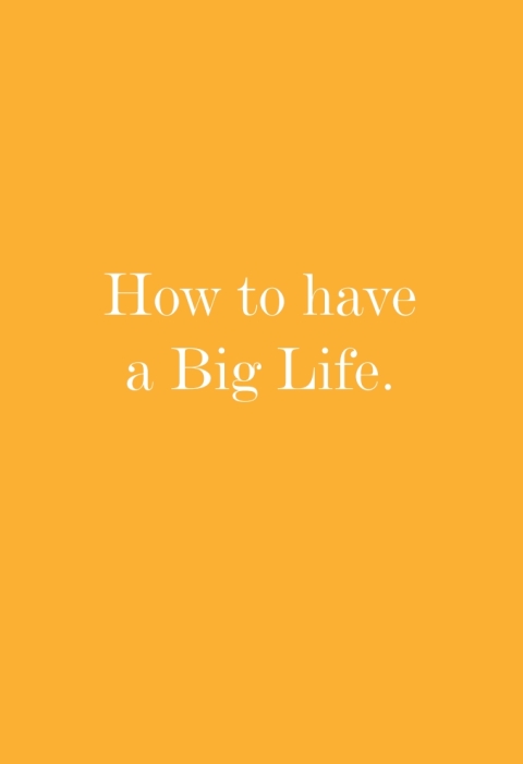 Cover image for book How to Have A Big Life