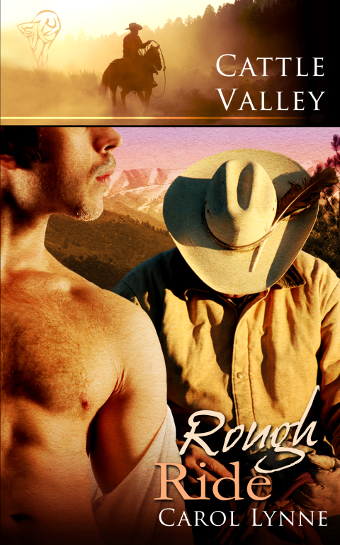 Cover image for book Rough Ride