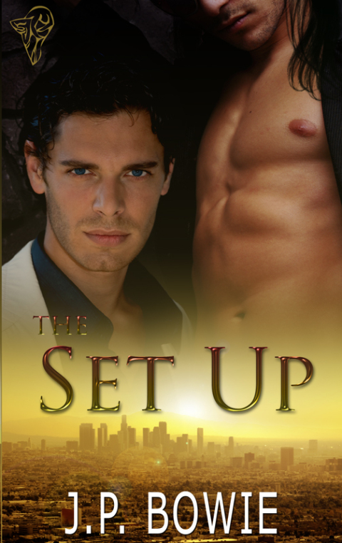Cover image for book The Set Up