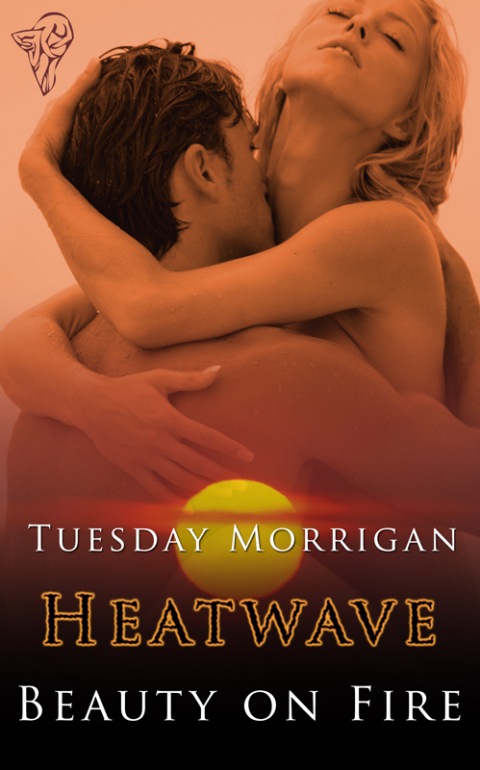 Cover image for book Beauty on Fire