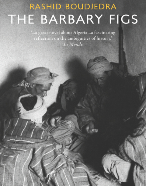 Cover image for book The Barbary Figs