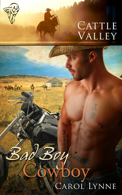 Cover image for book Bad Boy Cowboy
