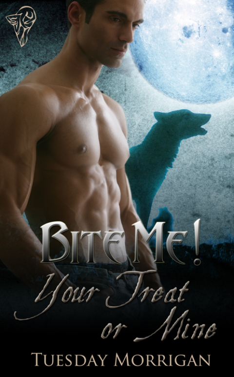 Cover image for book Your Treat or Mine