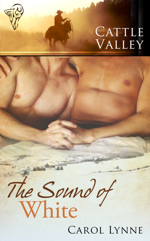Cover image for book The Sound of White